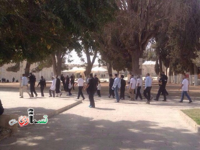 جمعية الأقصى: تصعيد مستمر وخطير بحق المسجد الاقصى المبارك لليوم الثاني